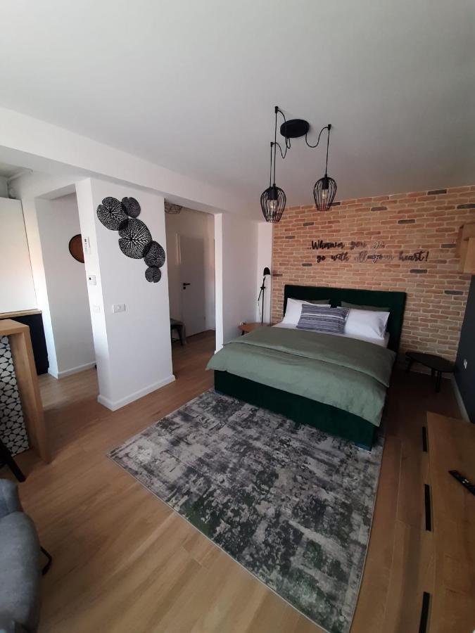 City Center View Studio Apartment 1 Timisoara Luaran gambar
