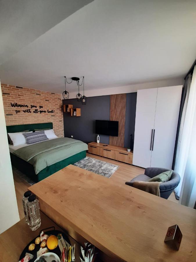 City Center View Studio Apartment 1 Timisoara Luaran gambar
