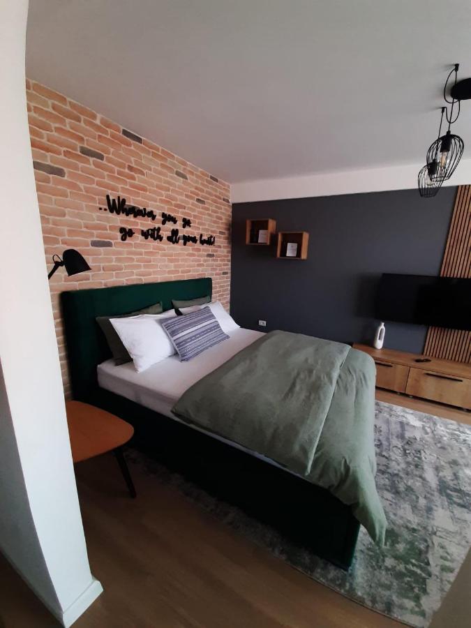 City Center View Studio Apartment 1 Timisoara Luaran gambar